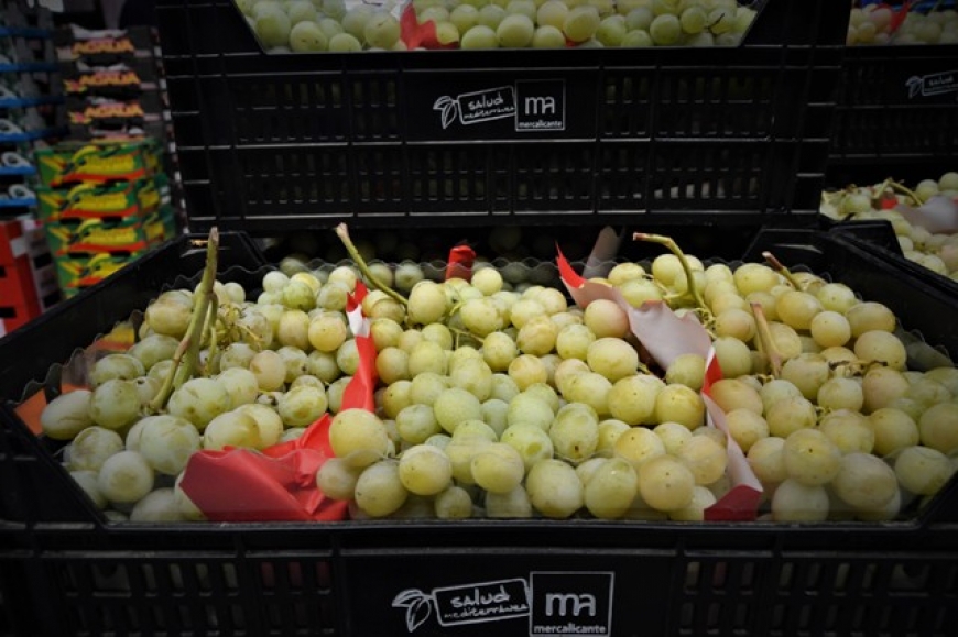 Donamos más de 200 kilos de uva del Vinalopó para las campanadas de Nochevieja en Alicante