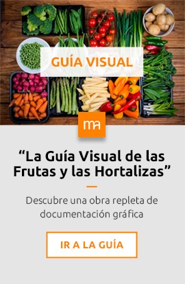 Guía visual