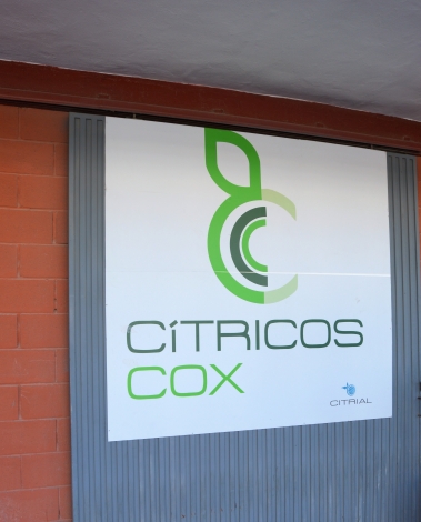 Citricos Cox S.A.T. nº 324 CV