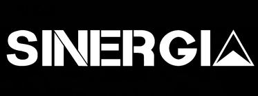 Sinergia soluciones y gestion, S.L.