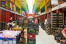 Mercalicante abre el plazo de licitación para cuatro módulos en el Mercado Mayorista