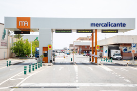Convocatoria Junta General Ordinaria de accionistas de Mercalicante S.A.