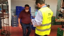 Mercalicante distribuye 2000 mascarillas a través de Mercasa que han sido donadas por la comunidad h