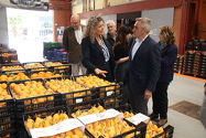 El conseller de Agricultura visita Mercalicante y destaca su papel estratégico para el territorio