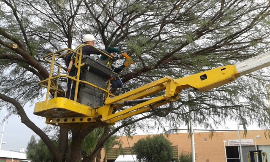 Oferta de Trabajo en Mercalicante