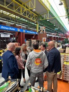 FEDEMCO visita Mercalicante para reforzar su colaboración en economía circular y gestión de residuos