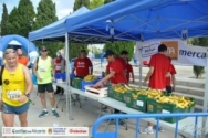 Aportamos 700 kilos de fruta para los corredores de la I carrera solidaria de los castillos