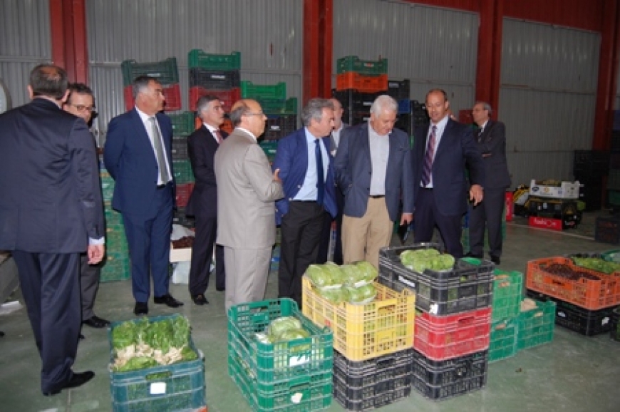 COEPA reúne a su comité ejecutivo en Mercalicante