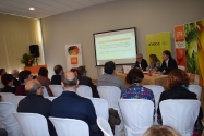 Mercalicante, el clúster alimentario de Alicante, genera una facturación de 390 millones de euros