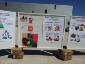 Mercalicante distribuye 120 kilos de fruta y hortalizas en los talleres de conmemoración del Día Nac Mercalicante distribuye 120 kilos de fruta y hortalizas en los talleres de conmemoración del Día Nac