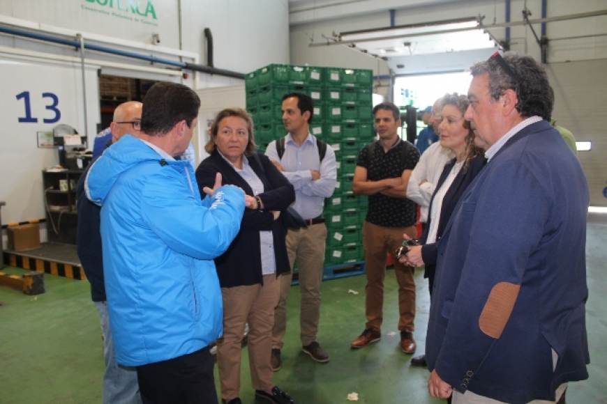 Mercalicante y el Parque Científico de la UMH estudian vías de colaboración para favorecer el desarrollo de empresas